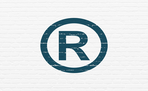 商標(biāo)注冊(cè) (12)